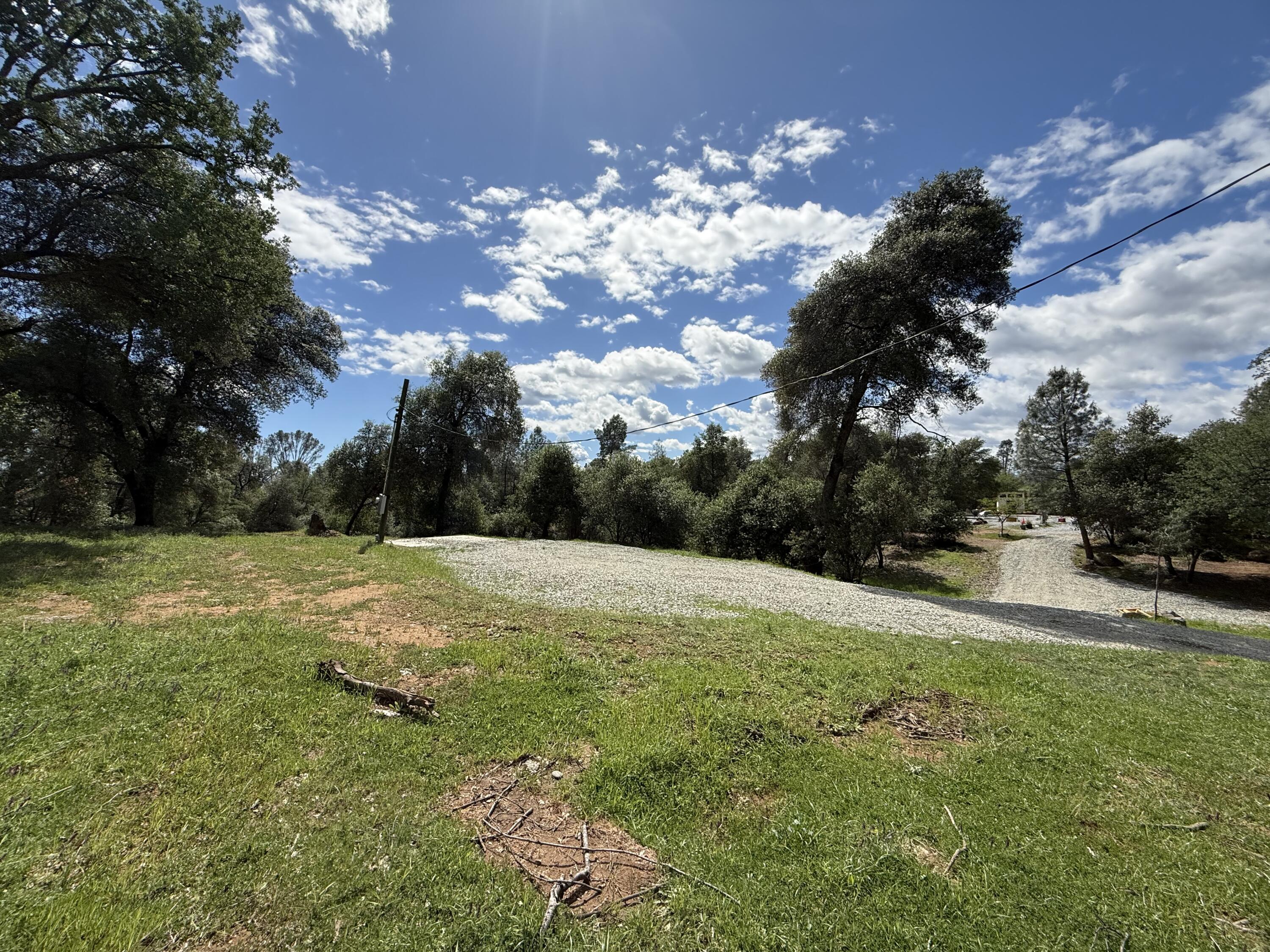12333 Quartz Hill Road Redding, CA 96003 - Photo 15 of 21 a view of a big yard with large trees
