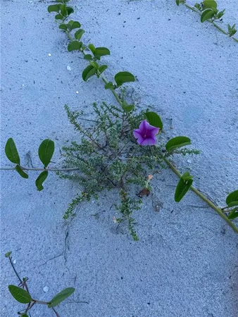 $875,000 | Undisclosed Address, Placida, FL 33946