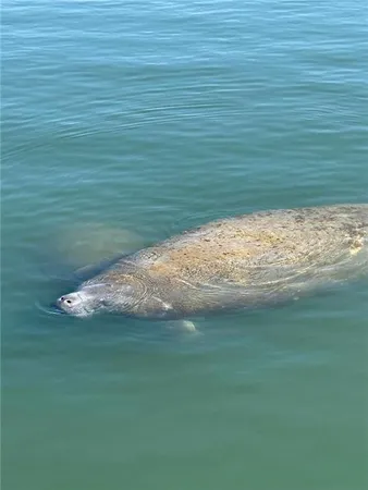 $875,000 | Undisclosed Address, Placida, FL 33946