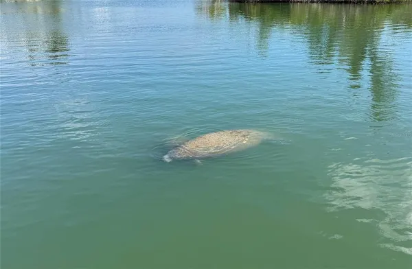 $875,000 | Undisclosed Address, Placida, FL 33946