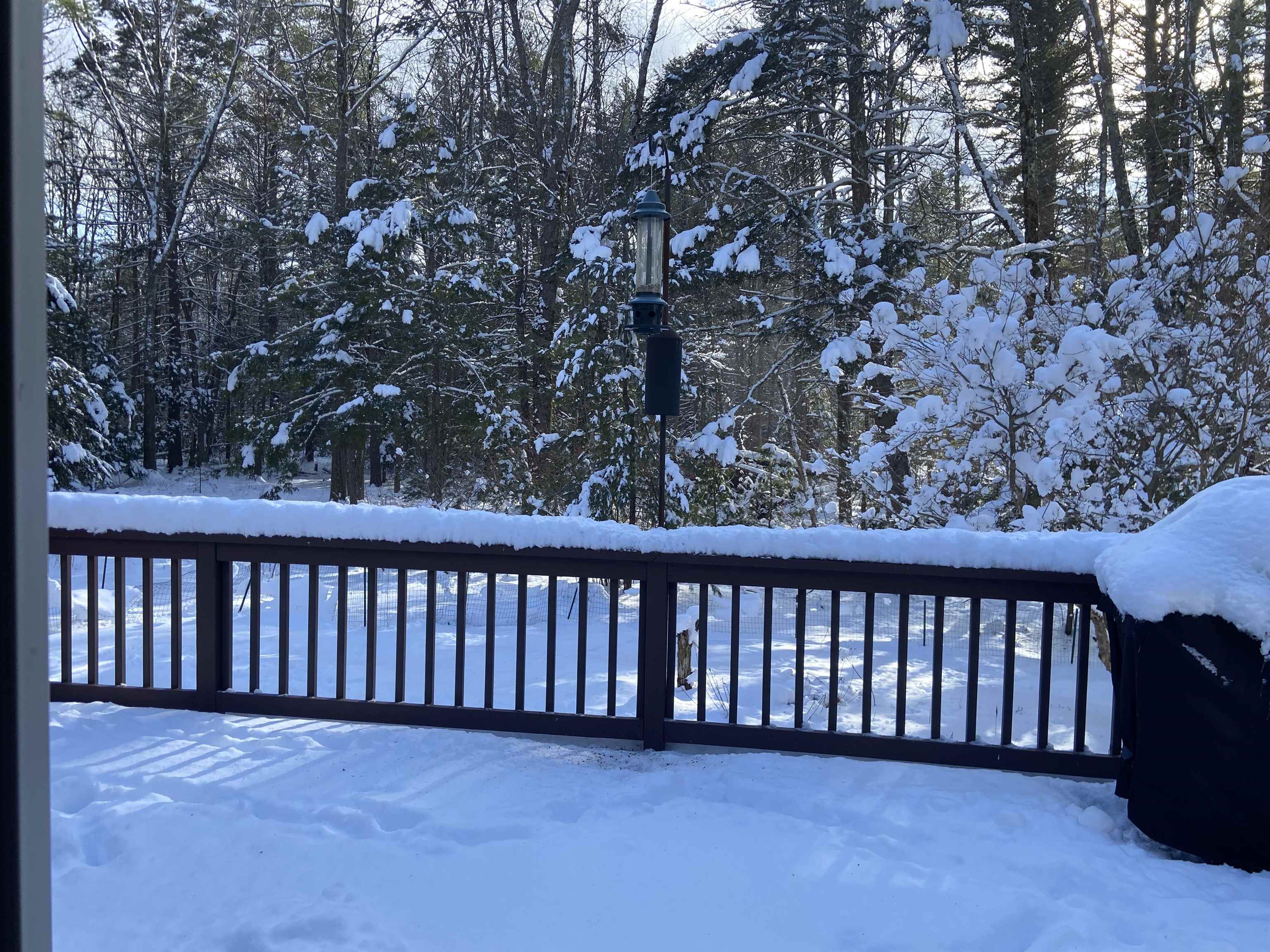 6 Crank Road Hampton Falls, NH 03844 - Photo 10 of 22