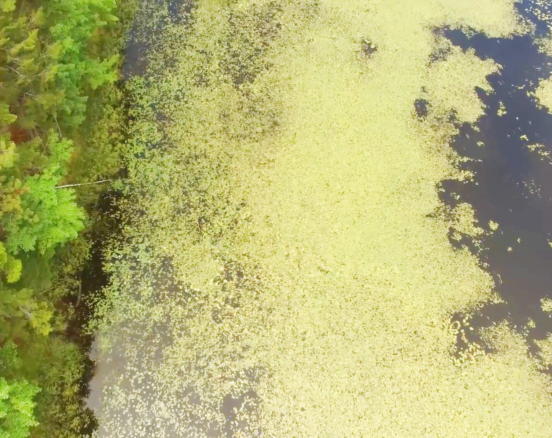 D Lakeside Road Mount Desert, ME 04660 - Photo 5 of 20 Little Echo REPVIDEOAMJPG31