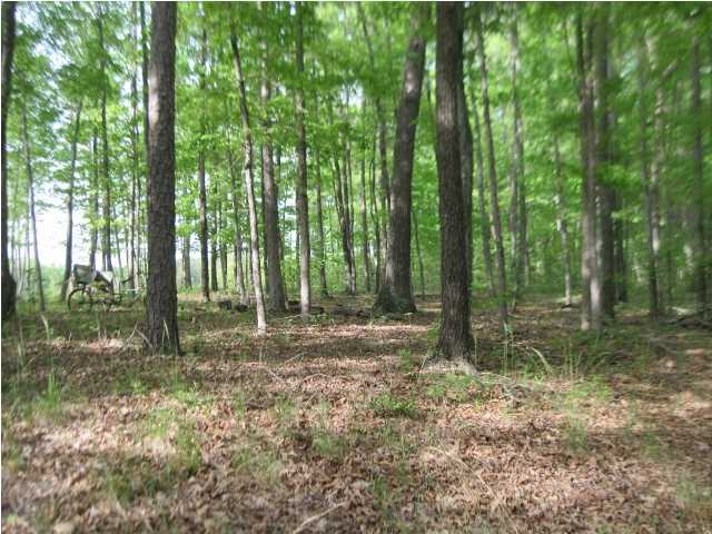 107 Young Road Soddy Daisy, TN 37379 - Photo 3 of 19 Additional Photo