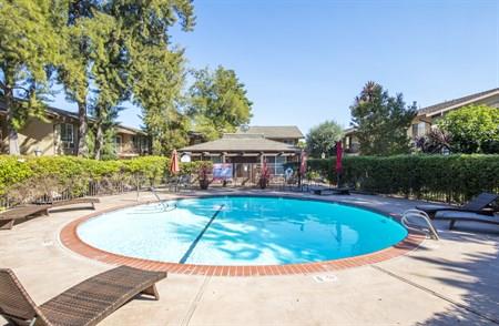 2580 Homestead Road, Unit 4204 Santa Clara, CA 95051 - Photo 4 of 19 a view of a swimming pool with a patio