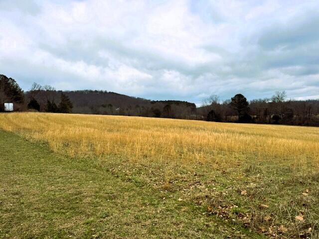 573 South Judd Road Decatur, TN 37322 - Photo 37 of 37 judd winter