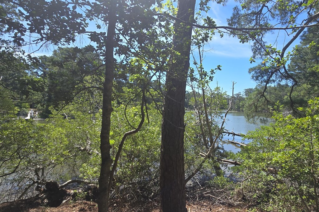 Lot B4 Saltworks Road, Unit B Exmore, VA 23350 - Photo 3 of 11