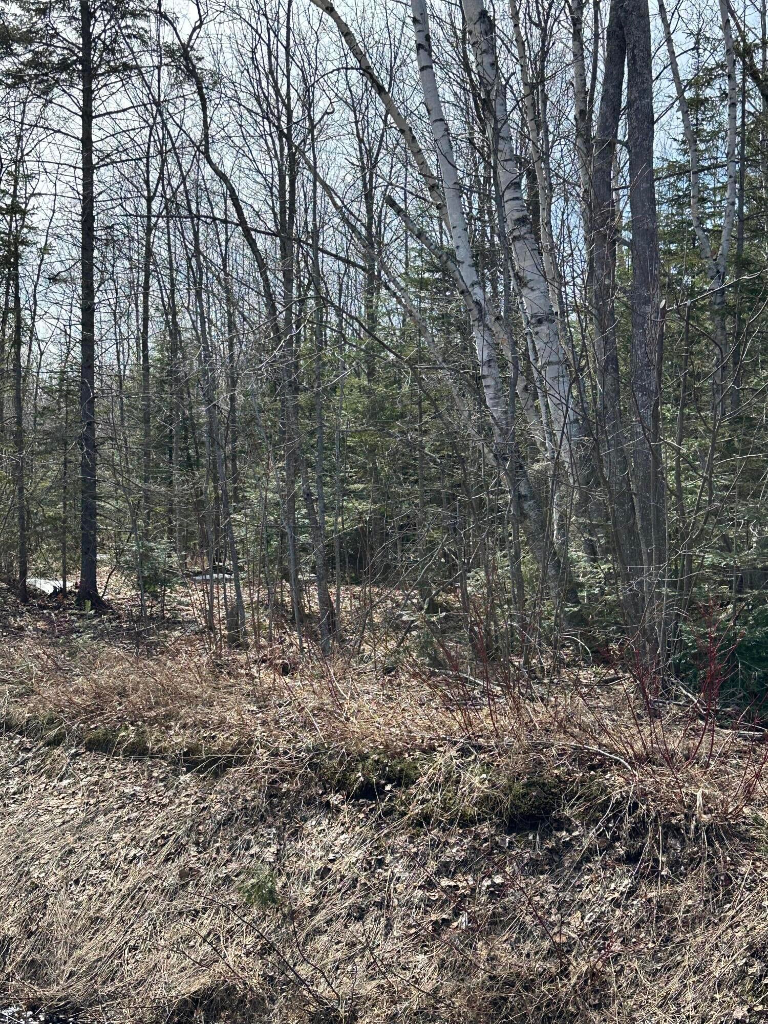 10170 North Whitefish Point Road Paradise, MI 49768 - Photo 24 of 26 Gallery Image 24