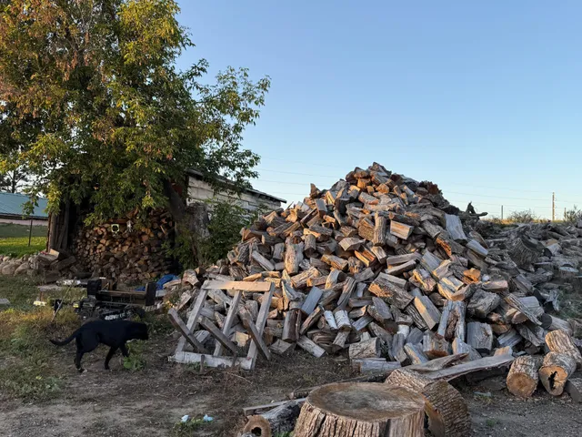 $470,000 | 35515 Highway 87, Frazee, MN 56544