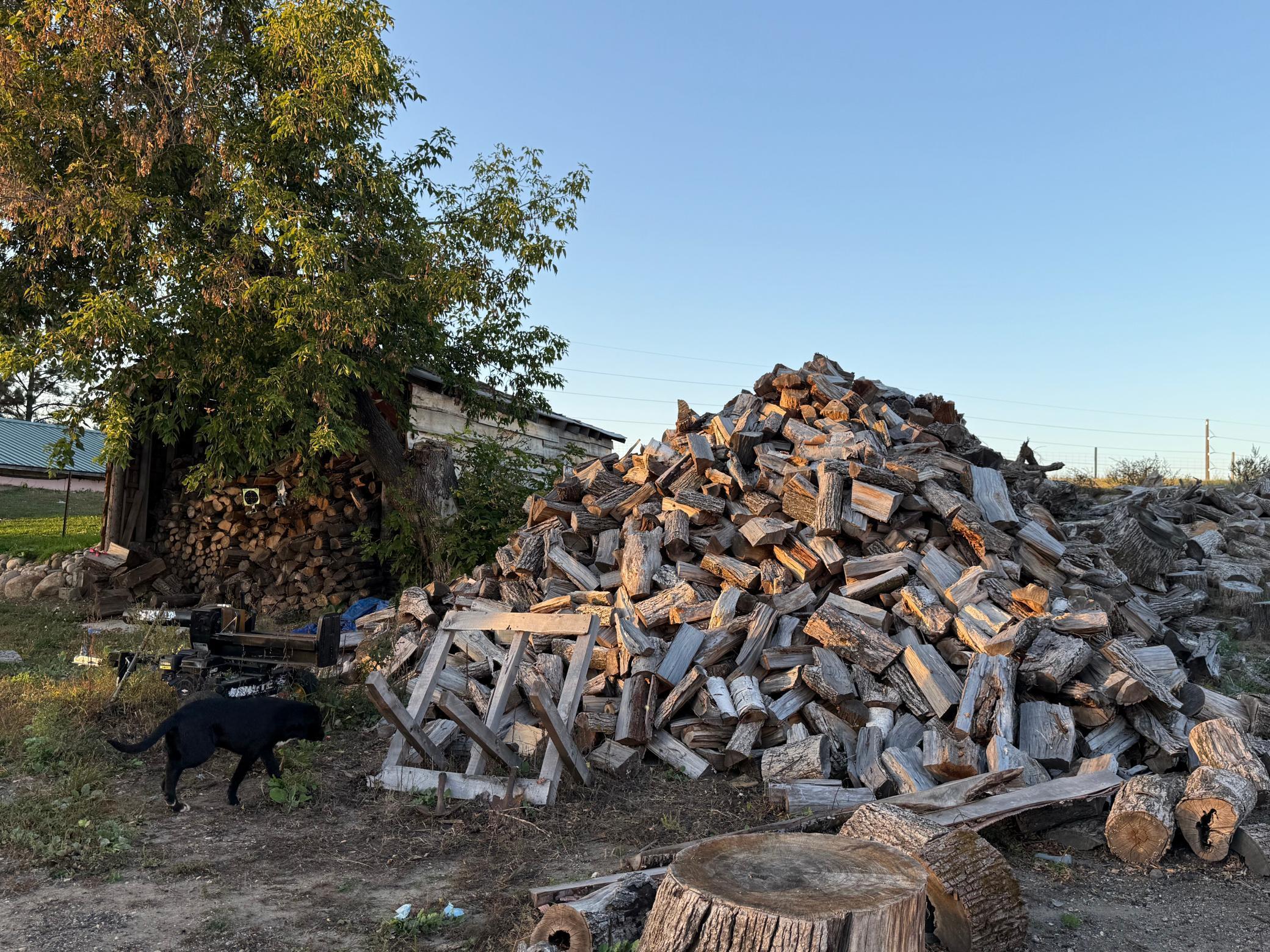 35515 Highway 87 Frazee, MN 56544 - Photo 28 of 51