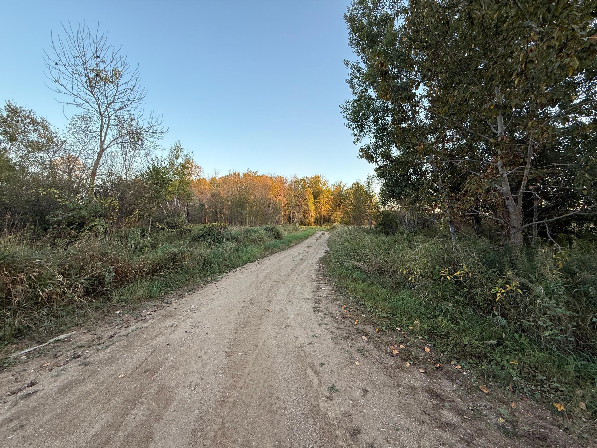 35515 Highway 87 Frazee, MN 56544 - Photo 39 of 51