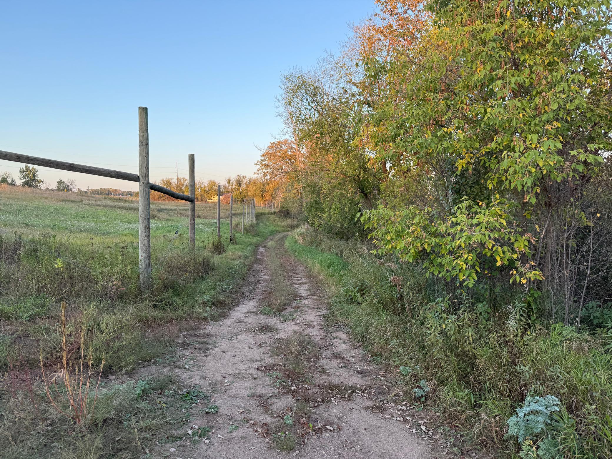 35515 Highway 87 Frazee, MN 56544 - Photo 40 of 51