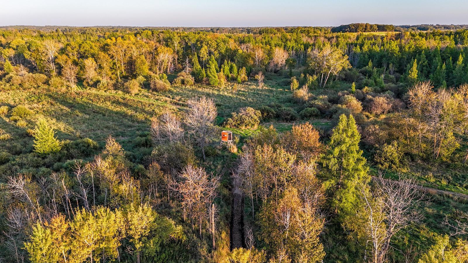 35515 Highway 87 Frazee, MN 56544 - Photo 46 of 51