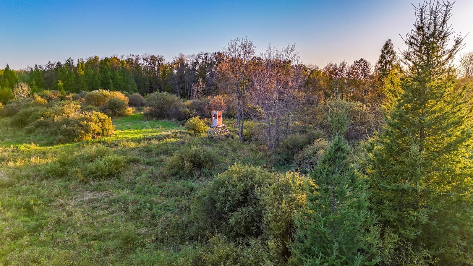 35515 Highway 87 Frazee, MN 56544 - Photo 47 of 51