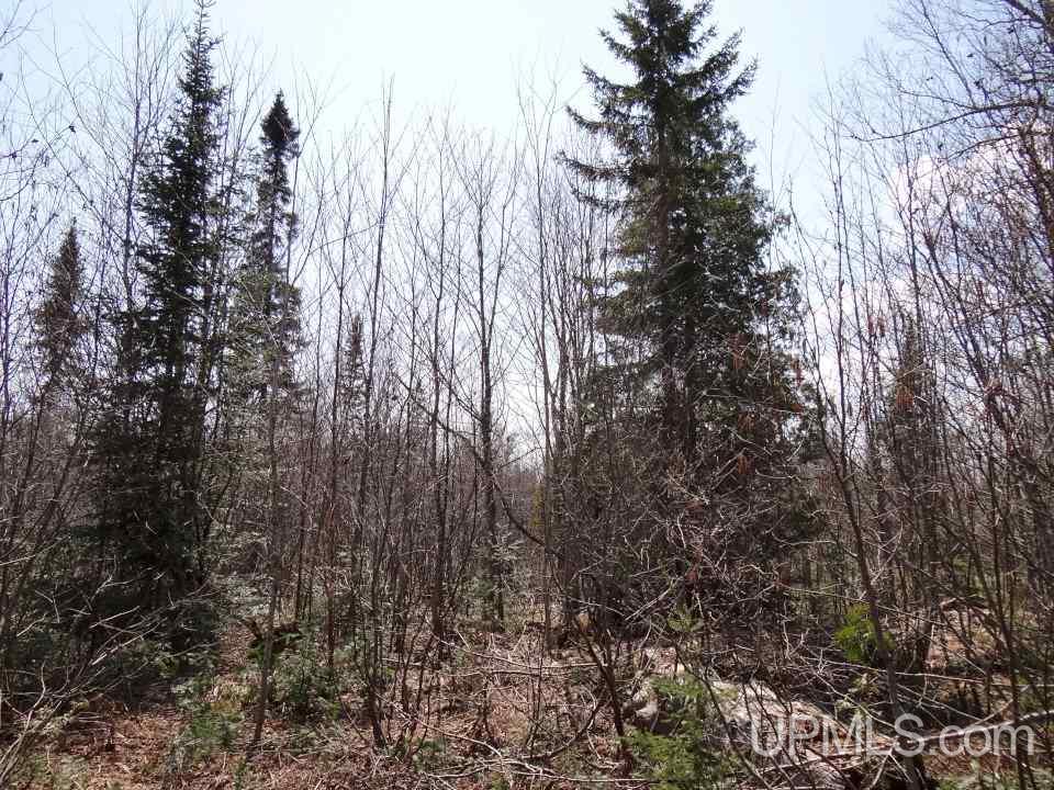 53502 Post Road Lake Linden, MI 49945 - Photo 34 of 36 Gallery Image 34