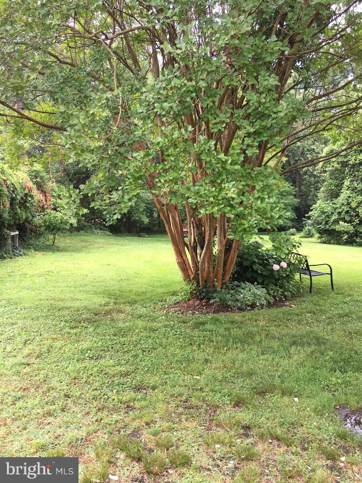 4418 North Old Glebe Road Arlington, VA 22207 - Photo 2 of 11 Absolute heaven setting in the backyard!