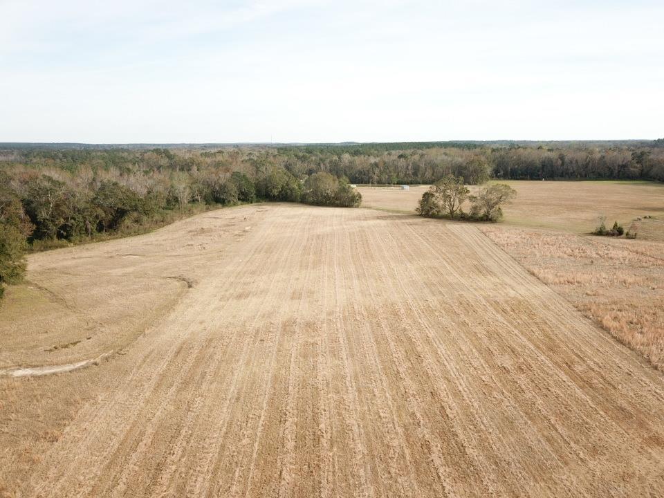 7 Acres Rehobeth Al Dothan, AL 36301 - Photo 1 of 1