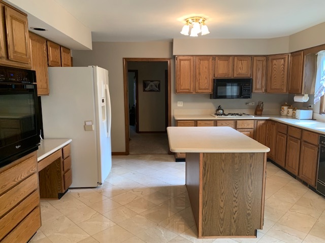 S434 Madison Street Winfield, IL 60190 - Photo 5 of 16