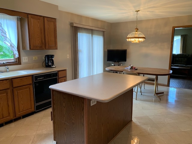 S434 Madison Street Winfield, IL 60190 - Photo 7 of 16