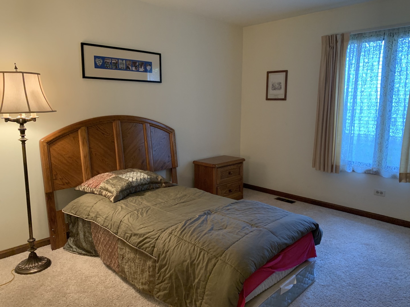 S434 Madison Street Winfield, IL 60190 - Photo 10 of 16