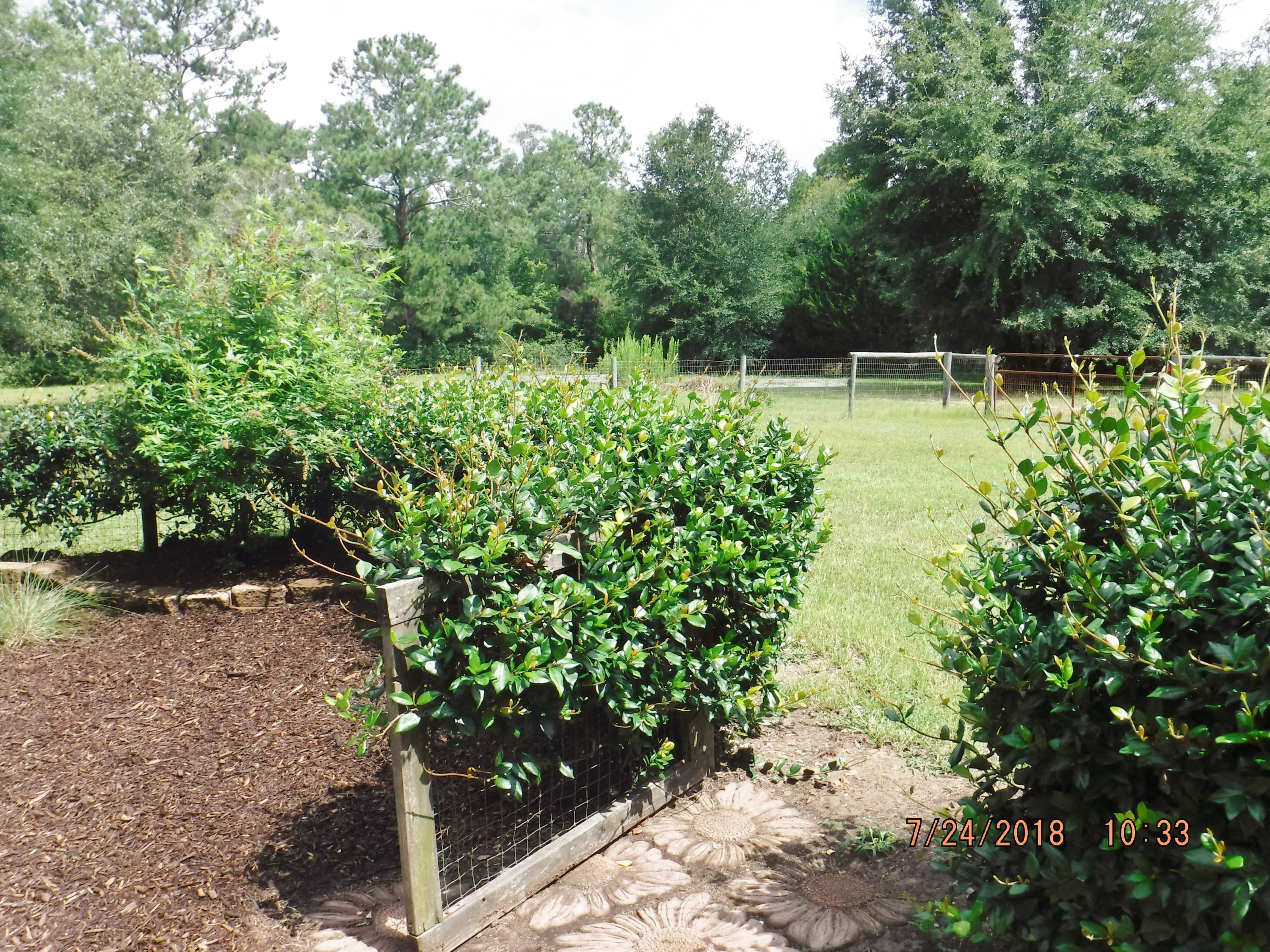 6607 Bears Bluff Road Wadmalaw Island, SC 29487 - Photo 45 of 56 bb107