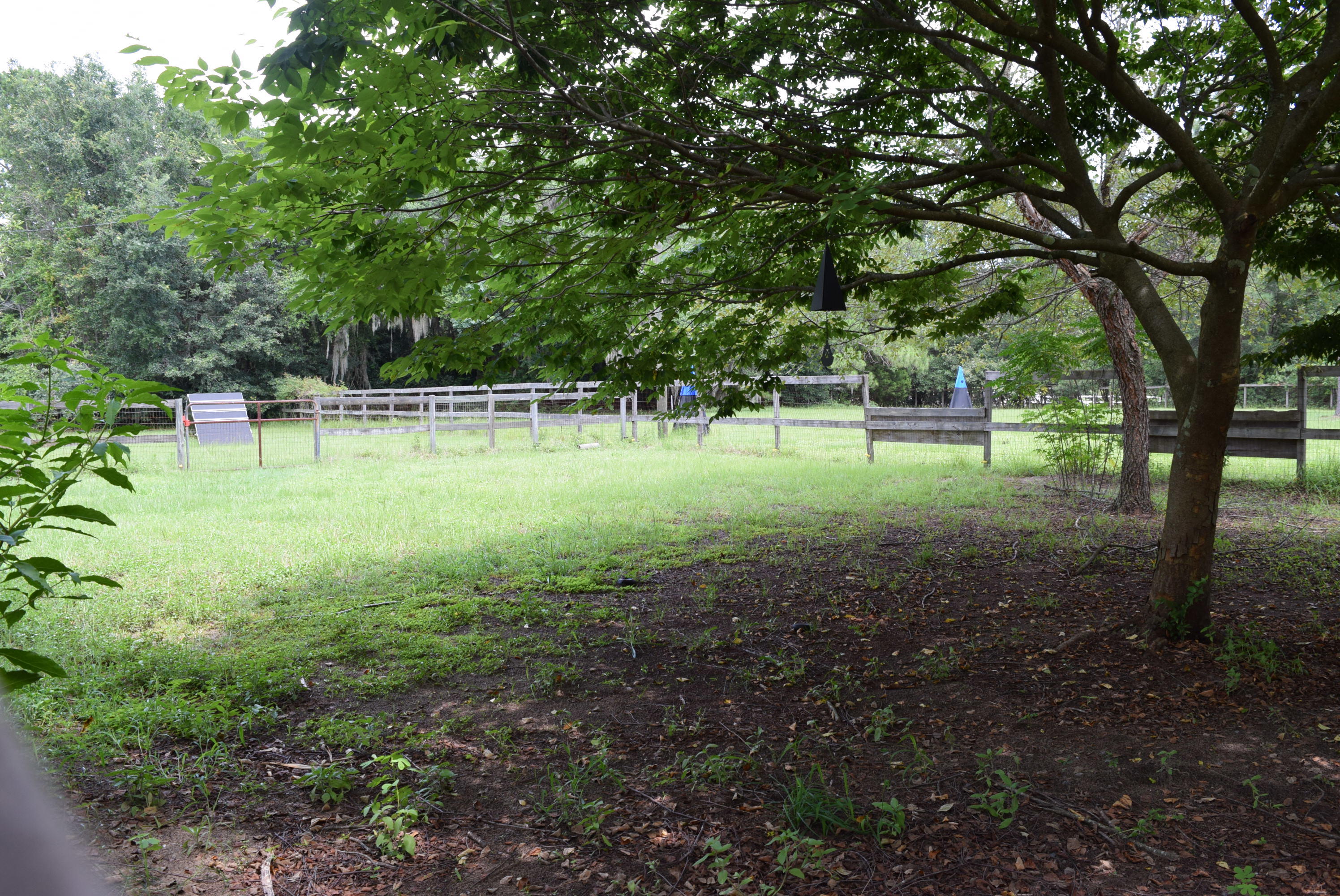 6607 Bears Bluff Road Wadmalaw Island, SC 29487 - Photo 48 of 56 1002bb