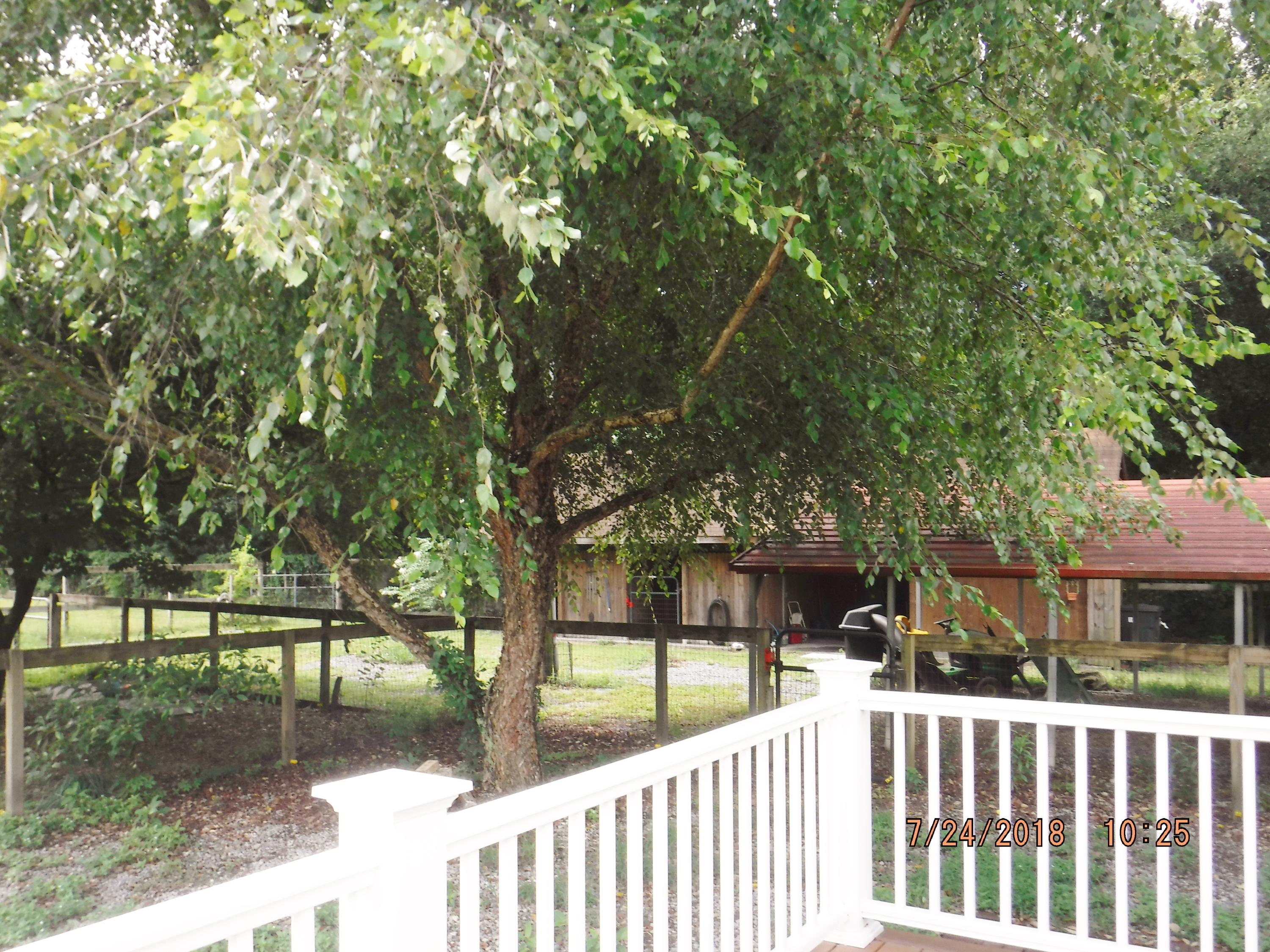 6607 Bears Bluff Road Wadmalaw Island, SC 29487 - Photo 51 of 56 bb83