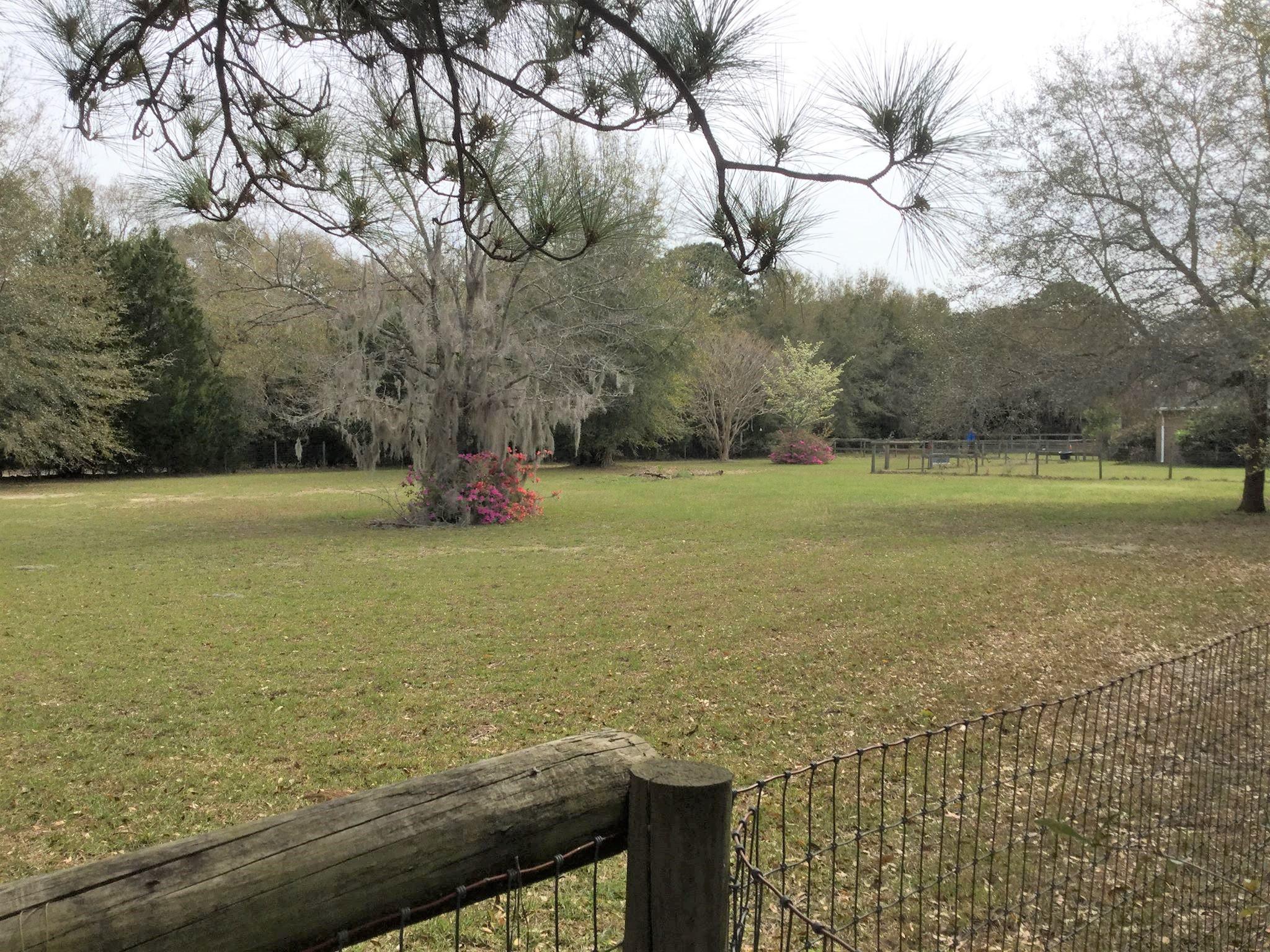 6607 Bears Bluff Road Wadmalaw Island, SC 29487 - Photo 54 of 56 bbpasture (2)