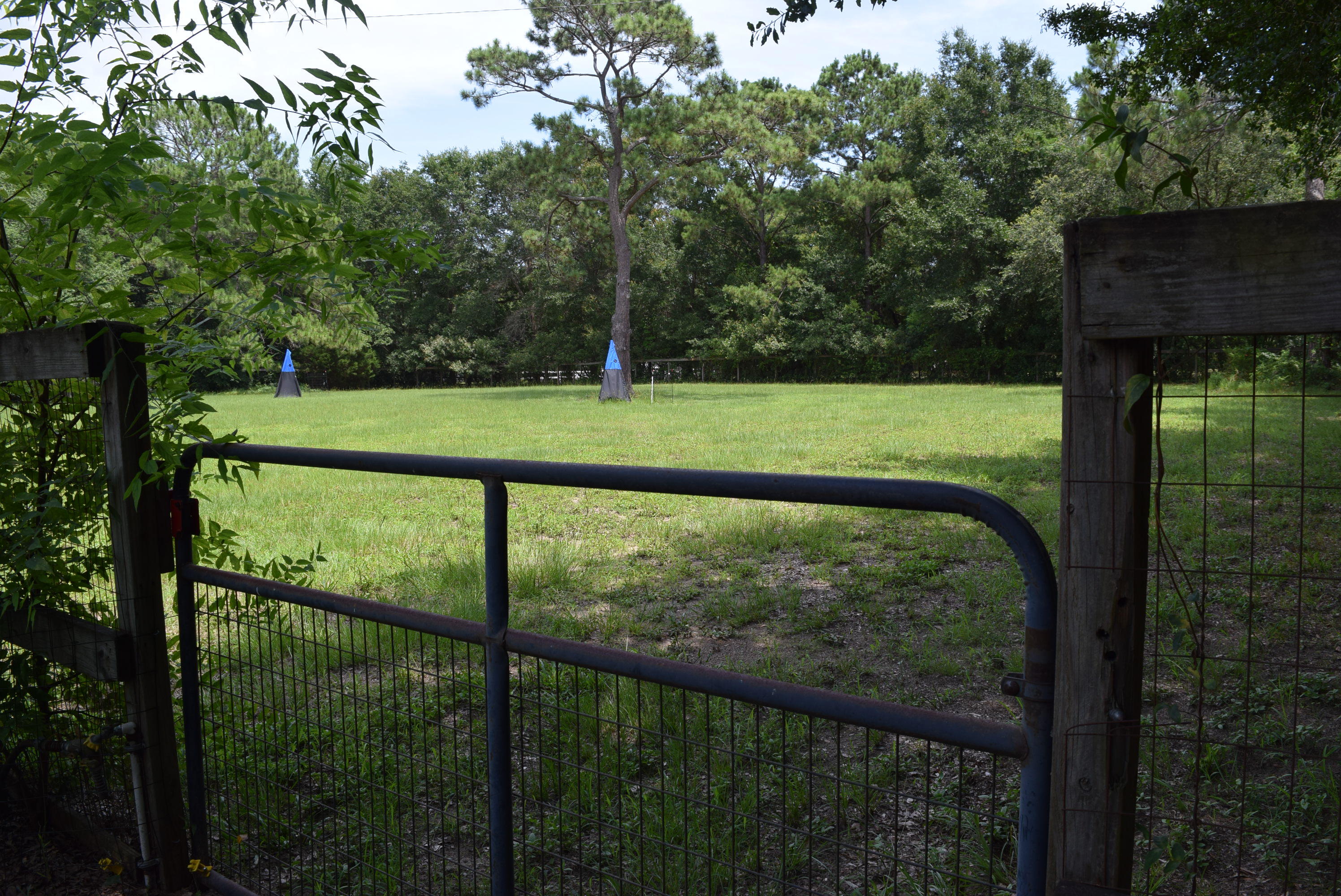 6607 Bears Bluff Road Wadmalaw Island, SC 29487 - Photo 56 of 56 DSC_0243