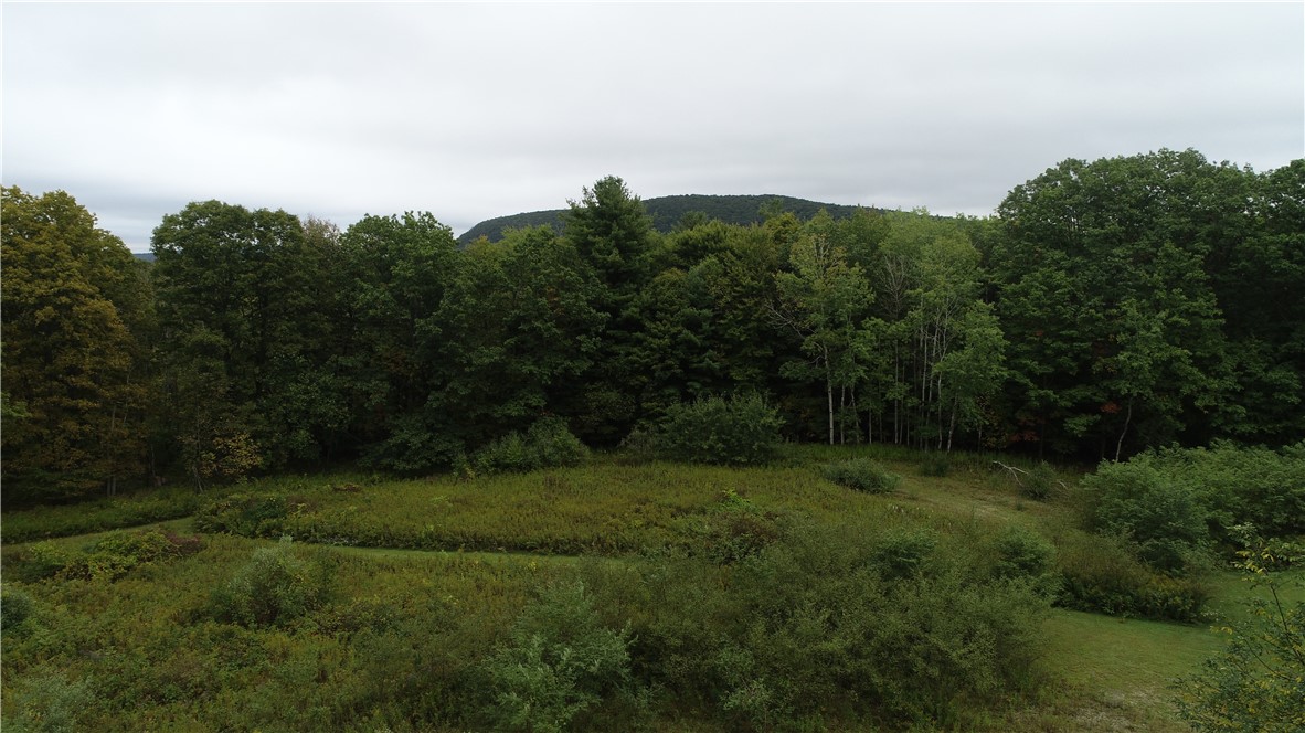 5199 Whiting Road Naples, NY 14512 - Photo 5 of 29