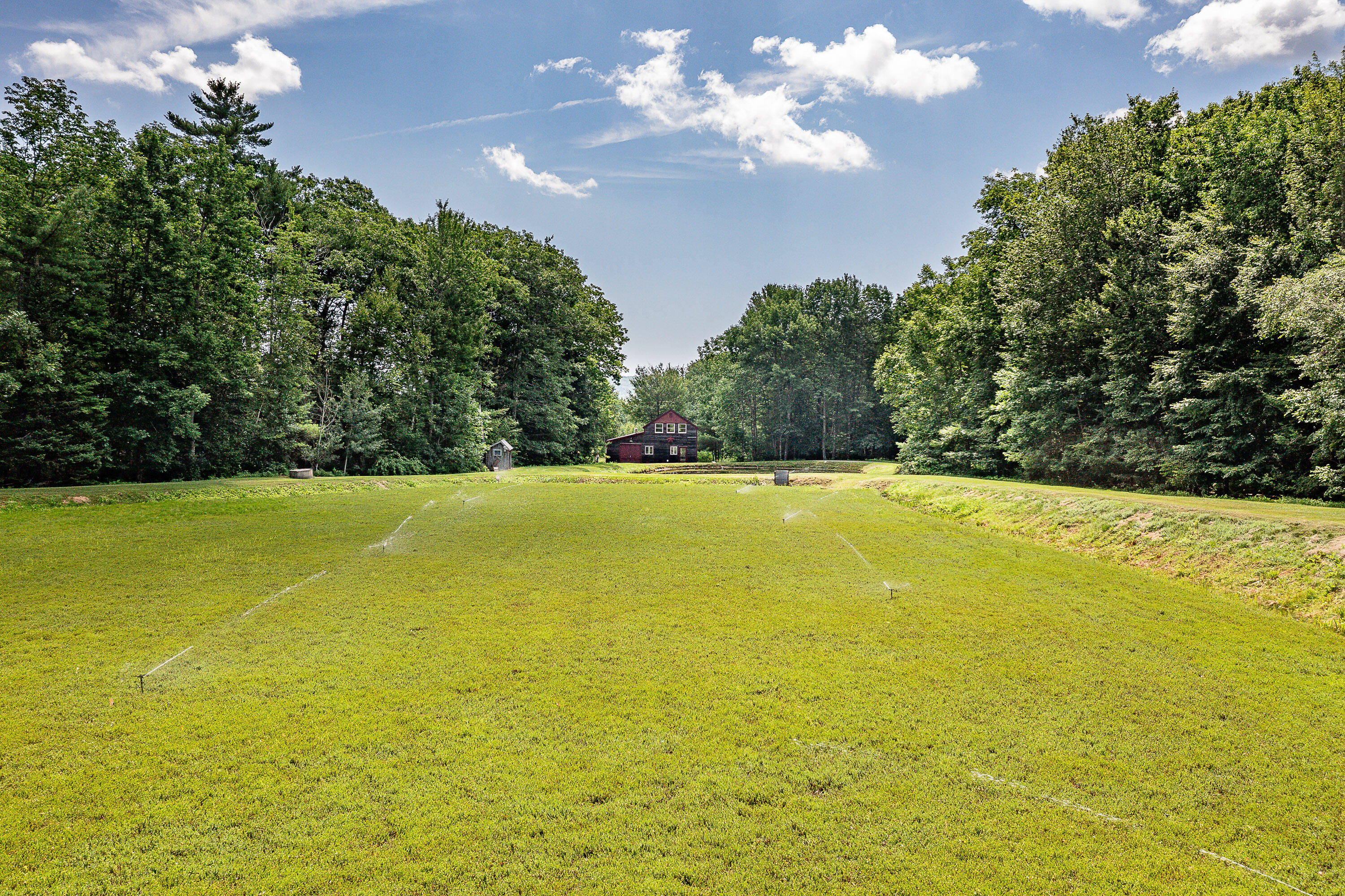 0 Heal Road Lincolnville, ME 04849 - Photo 28 of 40 15_CranberryBog_HealRd_S_print