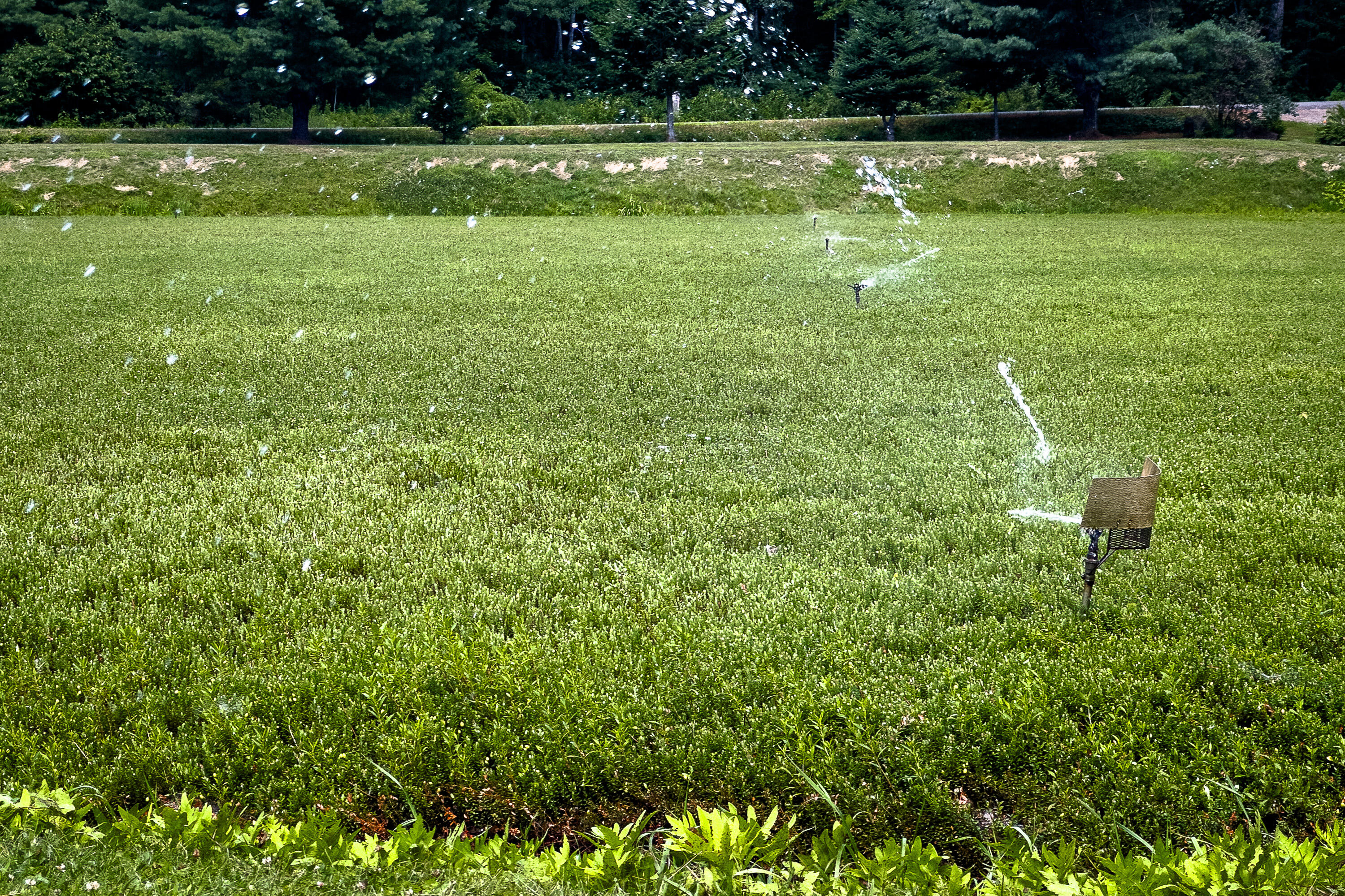 0 Heal Road Lincolnville, ME 04849 - Photo 37 of 40 51_CranberryBog_HealRd_S_print
