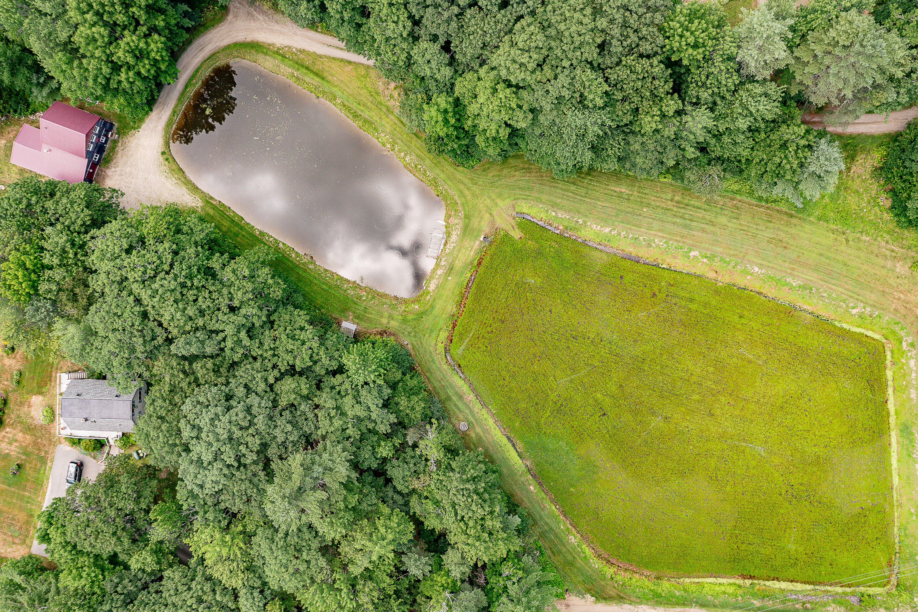 0 Heal Road Lincolnville, ME 04849 - Photo 8 of 40 11_CranberryBog_HealRd_S_print