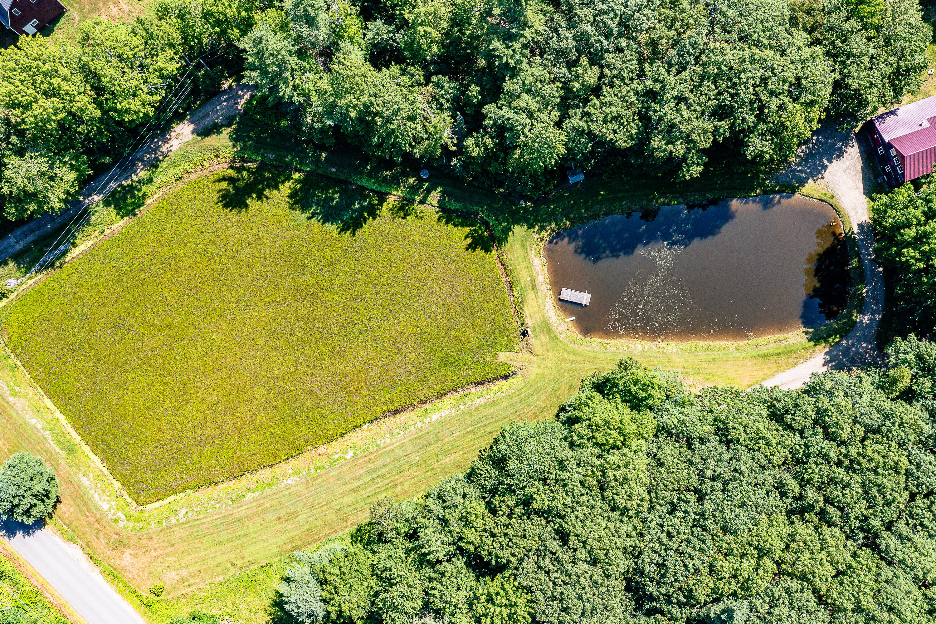 0 Heal Road Lincolnville, ME 04849 - Photo 9 of 40 12_CranberryBog_HealRd_S_print