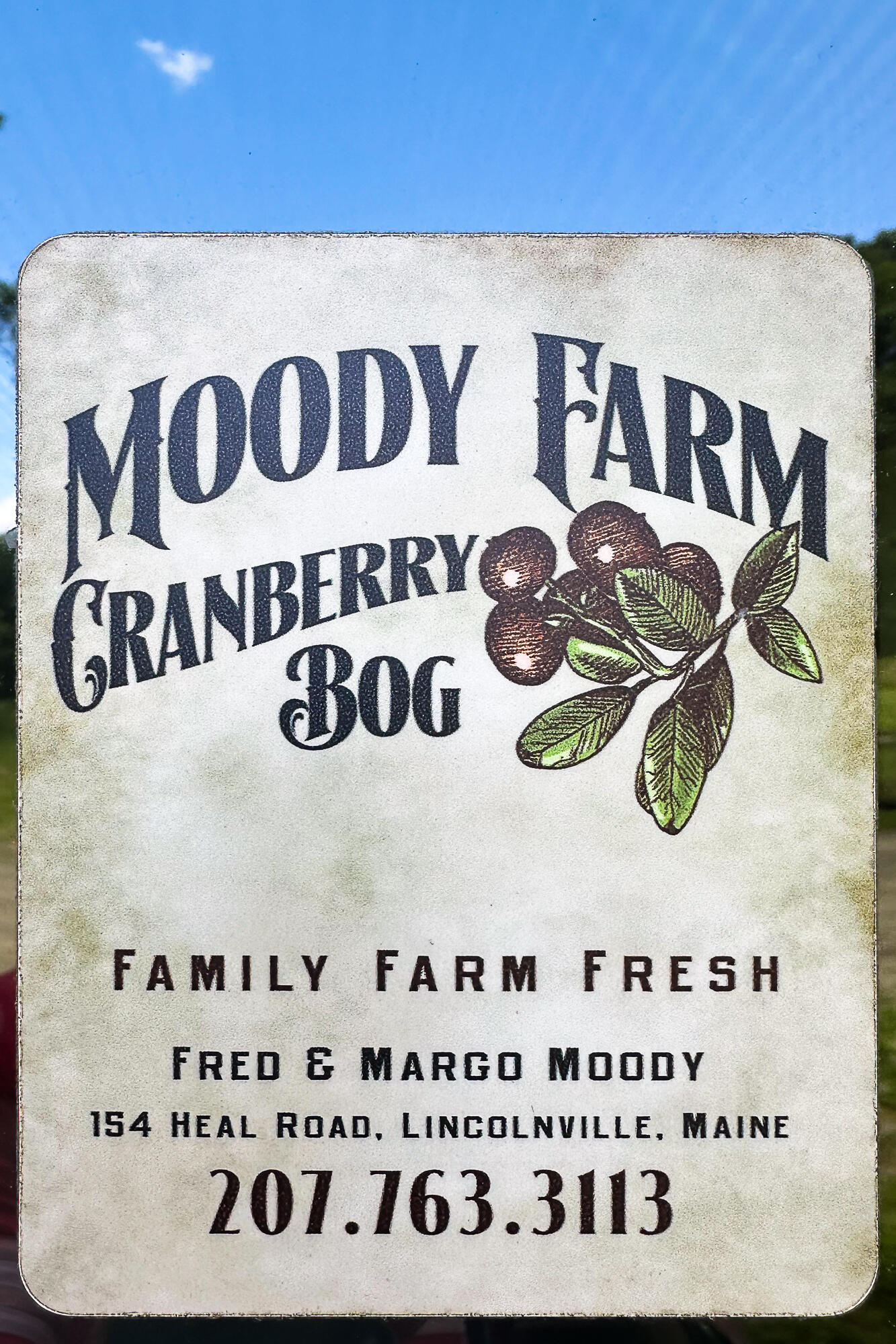 0 Heal Road Lincolnville, ME 04849 - Photo 10 of 40 52_CranberryBog_HealRd_S_print