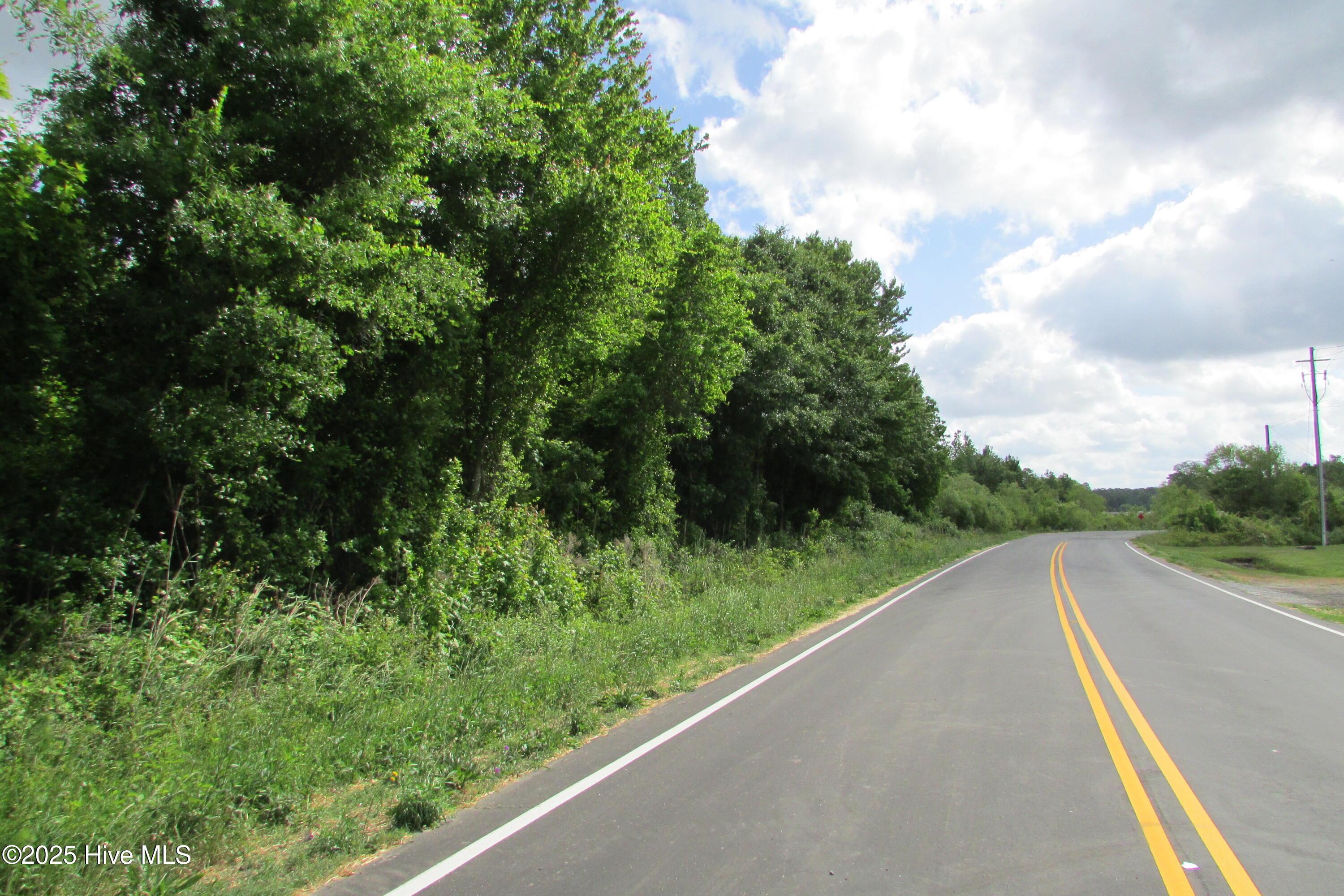 0 North Peavine Road Clinton, NC 28328 - Photo 3 of 8 IMG_4547
