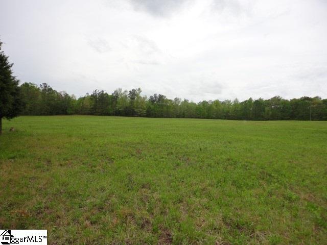 Crawford Road Gray Court, SC 29645 - Photo 2 of 8