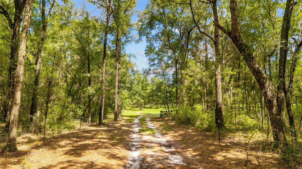 Tbd Southeast 35 Street Morriston, FL 32668 - Photo 16 of 19 a view of outdoor space and yard