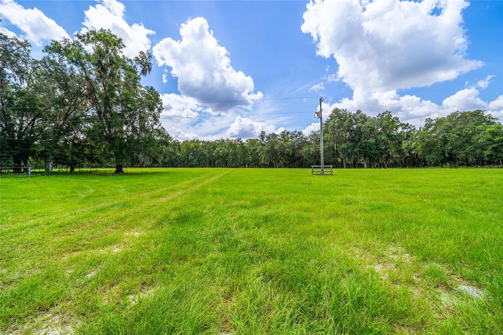 Tbd Southeast 35 Street Morriston, FL 32668 - Photo 19 of 19 a view of a tree in a field with a tree in the background