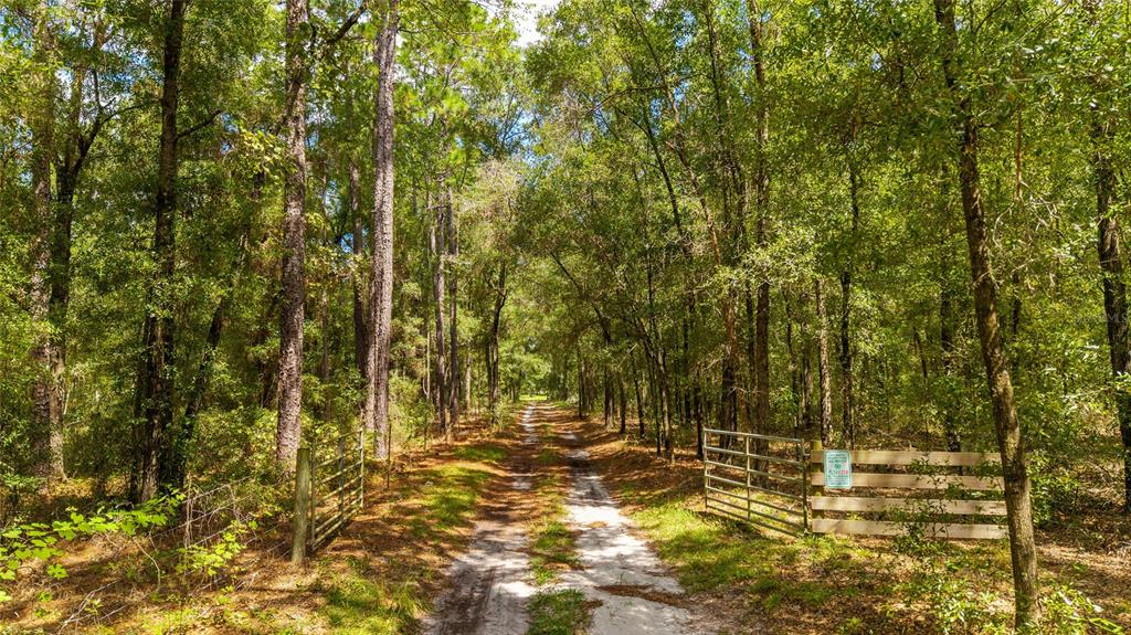 Tbd Southeast 35 Street Morriston, FL 32668 - Photo 3 of 19 a view of yard