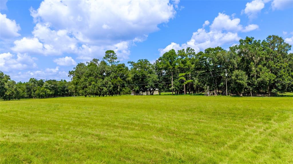 Tbd Southeast 35 Street Morriston, FL 32668 - Photo 8 of 19 a view of a field with an trees