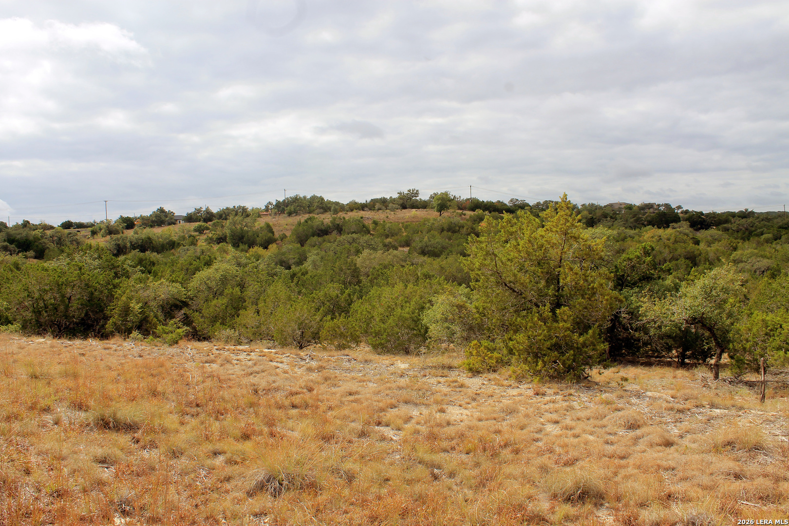 291 Star Grass Spring Branch, TX 78070 - Photo 6 of 8