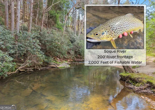 $350,000 | Lot 19 Soque Circle, Clarkesville, GA 30523
