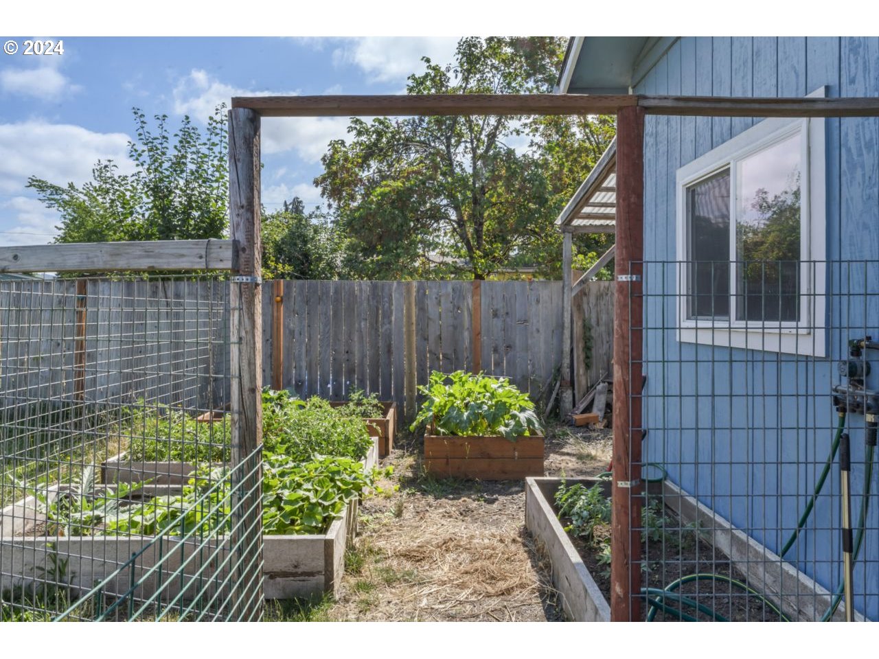 1147 33rd Street Springfield, OR 97478 - Photo 37 of 44 a view of a backyard with a garden