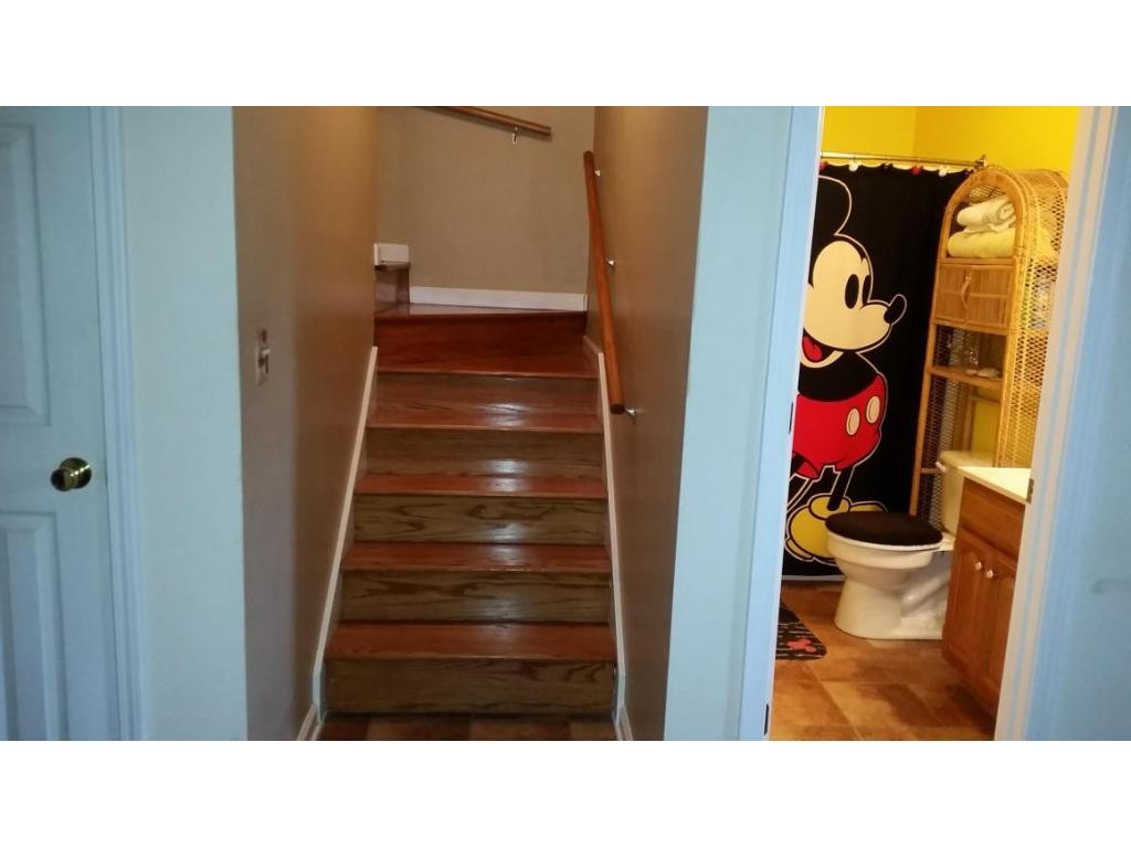 374 Reynolds Road Elizabethton, TN 37643 - Photo 18 of 24 Full Bath Basement
