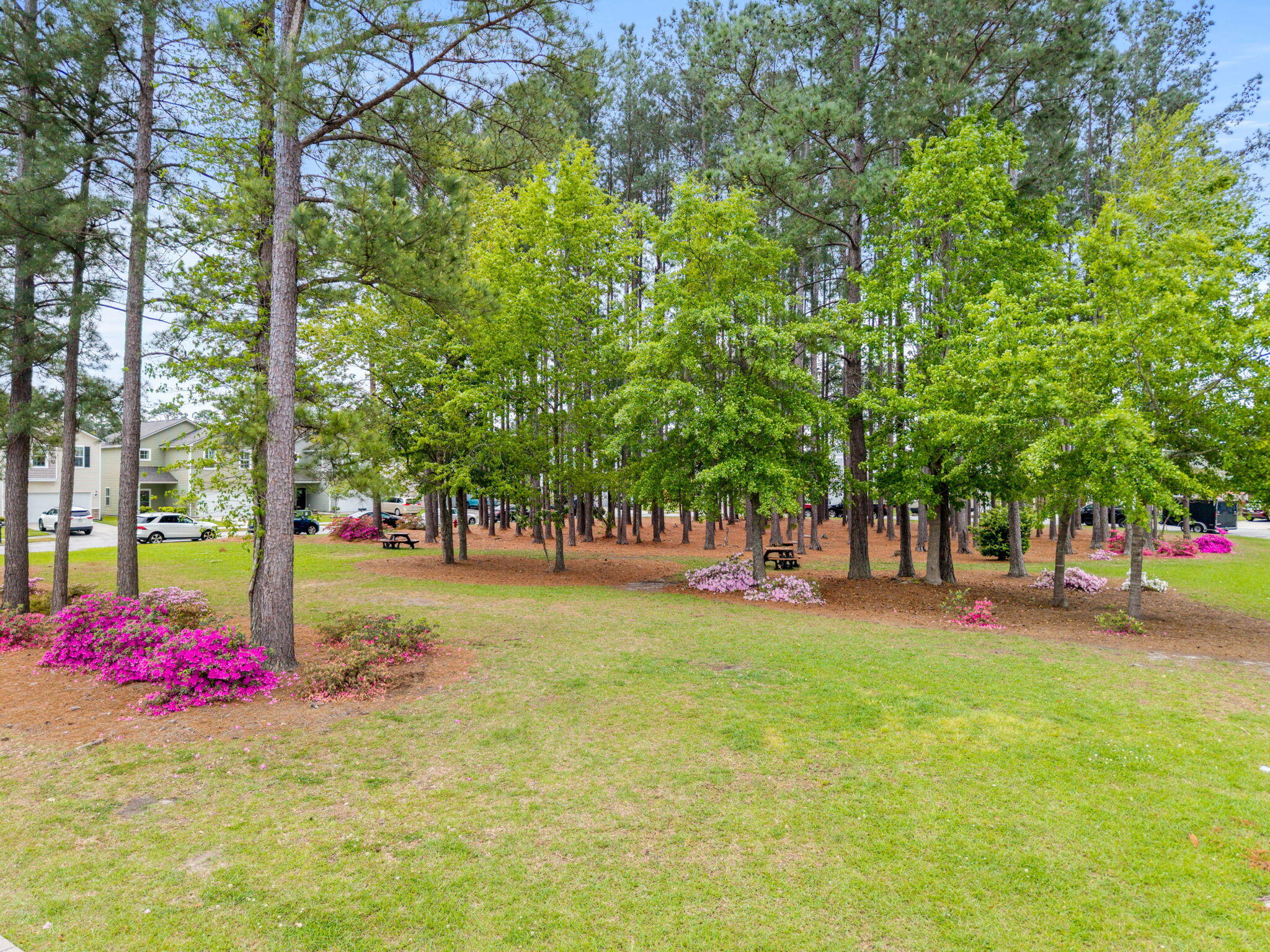 192 Brookhaven Road Summerville, SC 29486 - Photo 30 of 36