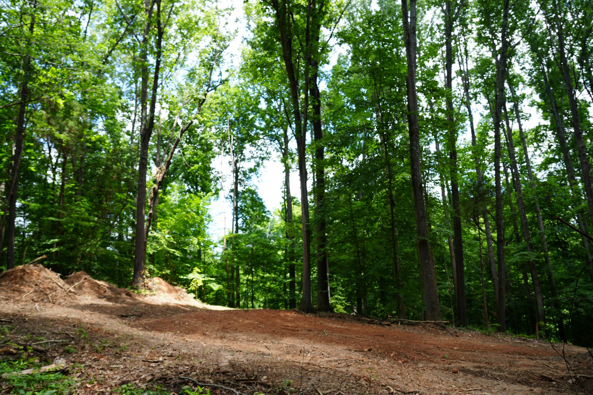 1 Budds Creek Road Palmyra, TN 37142 - Photo 54 of 76
