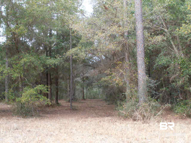 29409 Archie Road Elberta, AL 36530 - Photo 15 of 20 Oaks & Pines