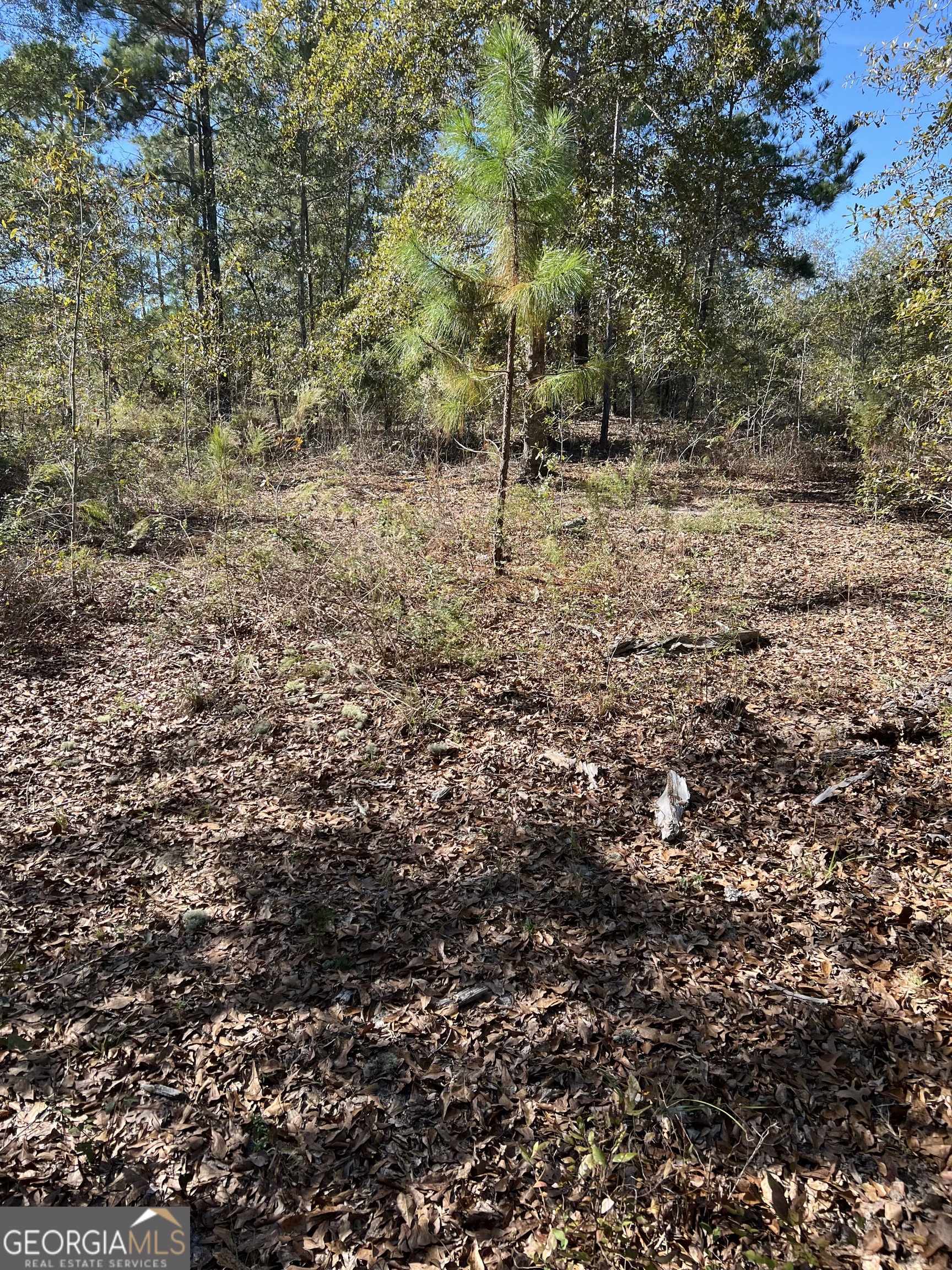 1432 Rozar-Goolsby Road Eastman, GA 31023 - Photo 4 of 6