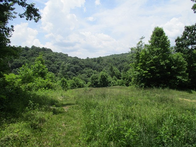 Tbd Shale Bank Road Marion, VA 24354 - Photo 1 of 1 Gallery Image 1