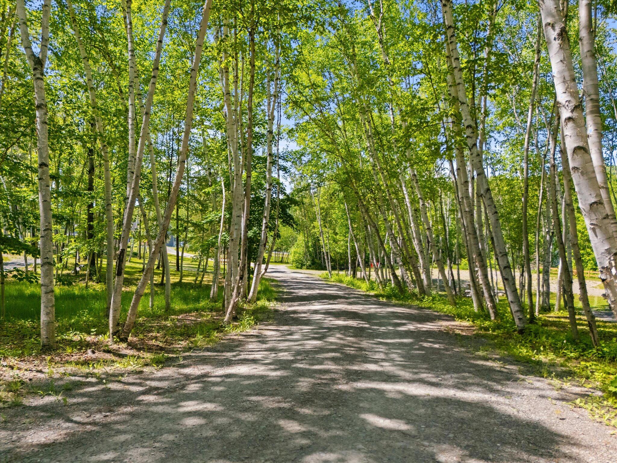 1449 Sly Brook Road Eagle Lake, ME 04739 - Photo 80 of 98 081-1449 Sly Brook Rd. Eagle Lake